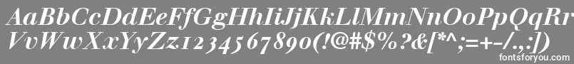 WalbaumBoldItalicOldstyleFigures Font – White Fonts on Gray Background