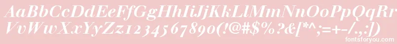 WalbaumBoldItalicOldstyleFigures Font – White Fonts on Pink Background
