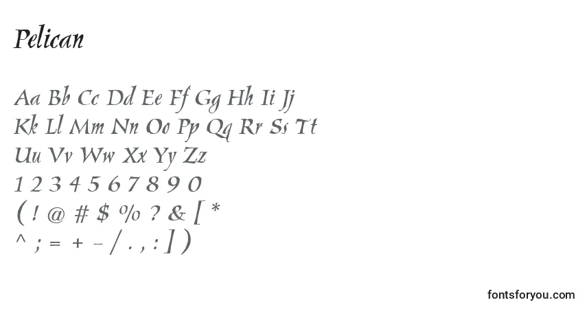 Pelican-fontti – aakkoset, numerot, erikoismerkit