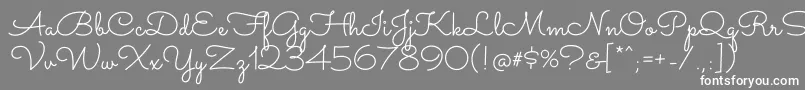 SacramentoRegular Font – White Fonts on Gray Background