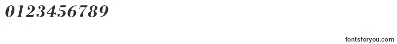 BostonBoldItalic Font – Fonts for Numbers and Digits