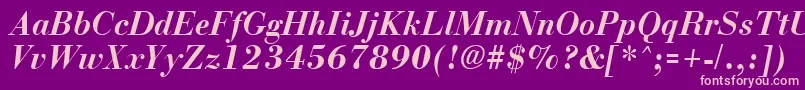 BostonBoldItalic-Schriftart – Rosa Schriften auf violettem Hintergrund