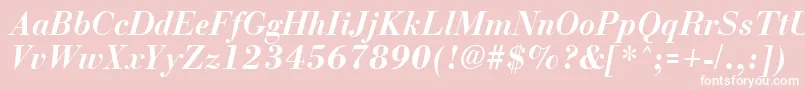 BostonBoldItalic Font – White Fonts on Pink Background