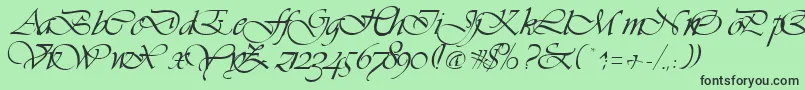 VivaceRegular Font – Black Fonts on Green Background