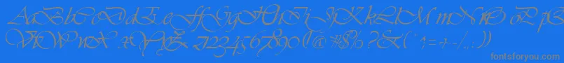 フォントVivaceRegular – 青い背景に灰色の文字