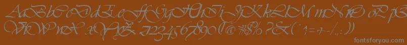 Шрифт VivaceRegular – серые шрифты на коричневом фоне