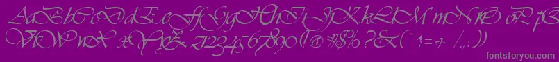 VivaceRegular Font – Gray Fonts on Purple Background