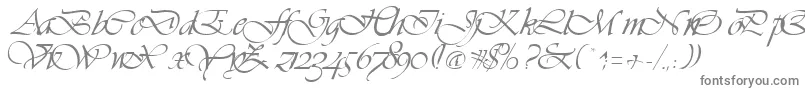 VivaceRegular Font – Gray Fonts