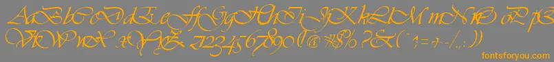 フォントVivaceRegular – オレンジの文字は灰色の背景にあります。