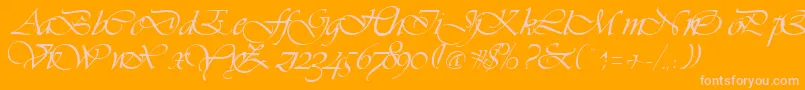 VivaceRegular Font – Pink Fonts on Orange Background