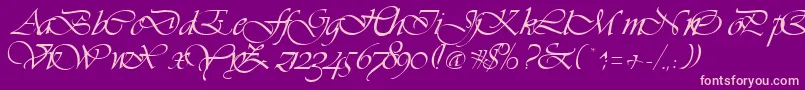 VivaceRegular Font – Pink Fonts on Purple Background
