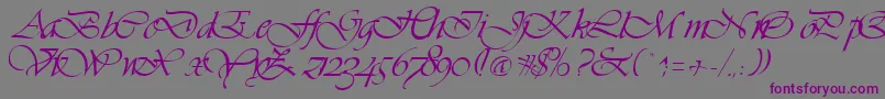 VivaceRegular Font – Purple Fonts on Gray Background