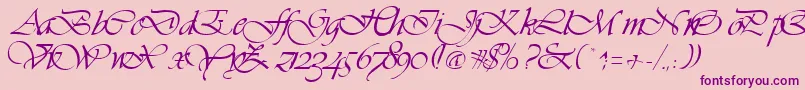 VivaceRegular Font – Purple Fonts on Pink Background