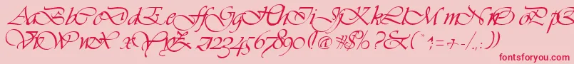 VivaceRegular Font – Red Fonts on Pink Background