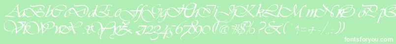 VivaceRegular-Schriftart – Weiße Schriften auf grünem Hintergrund