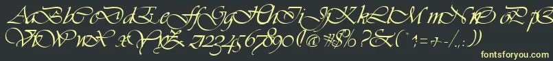 VivaceRegular Font – Yellow Fonts on Black Background