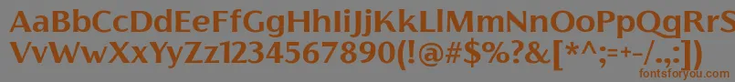 FlorentiaBoldTrial Font – Brown Fonts on Gray Background