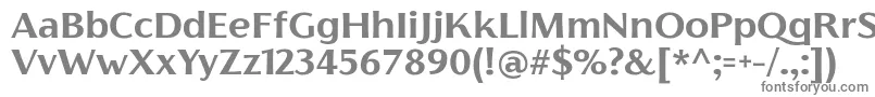フォントFlorentiaBoldTrial – 白い背景に灰色の文字