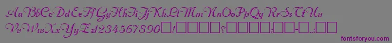 RimfrostRegular Font – Purple Fonts on Gray Background