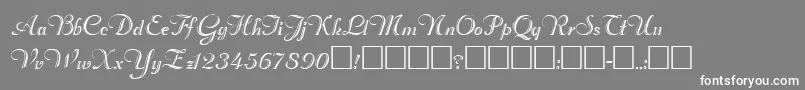 フォントRimfrostRegular – 灰色の背景に白い文字