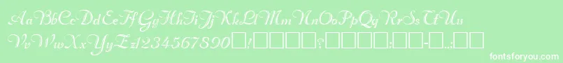 RimfrostRegular Font – White Fonts on Green Background