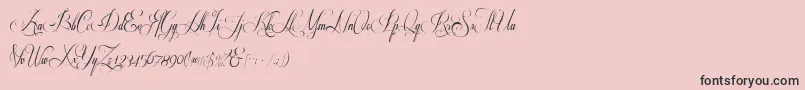 Respective2.0-Schriftart – Schwarze Schriften auf rosa Hintergrund