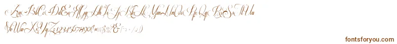 Шрифт Respective2.0 – коричневые шрифты на белом фоне