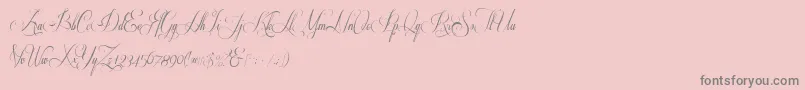 Respective2.0-Schriftart – Graue Schriften auf rosa Hintergrund