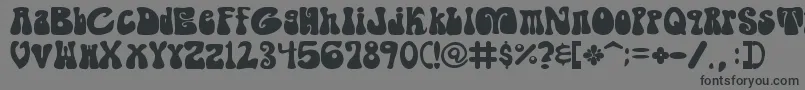 ShagadelicBold Font – Black Fonts on Gray Background