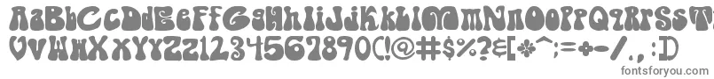 ShagadelicBold Font – Gray Fonts