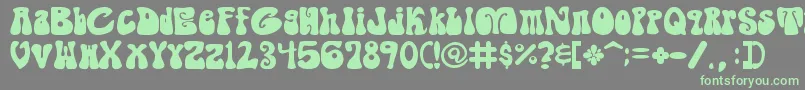 ShagadelicBold Font – Green Fonts on Gray Background