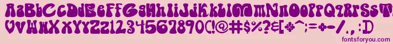 ShagadelicBold Font – Purple Fonts on Pink Background