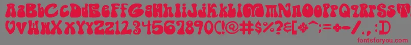 ShagadelicBold Font – Red Fonts on Gray Background