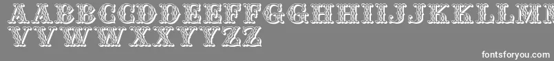 Jfsummerfair Font – White Fonts on Gray Background