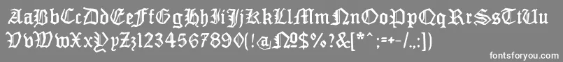 MonamourfrakturBroken Font – White Fonts on Gray Background