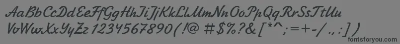 Laskoner Font – Black Fonts on Gray Background