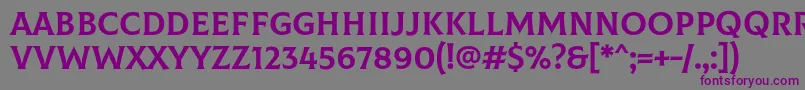 ColusRegular Font – Purple Fonts on Gray Background