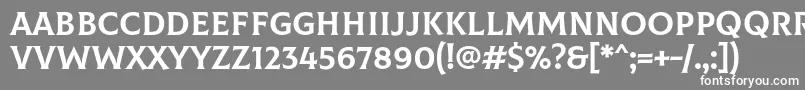 ColusRegular Font – White Fonts on Gray Background