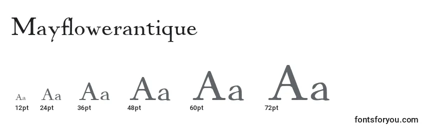 Mayflowerantique Font Sizes
