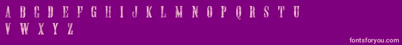 HandprintingpressMeshedDemo Font – Pink Fonts on Purple Background