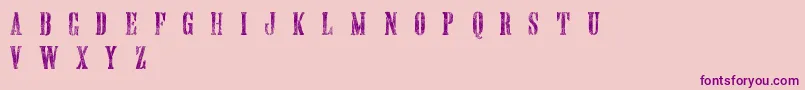 HandprintingpressMeshedDemo Font – Purple Fonts on Pink Background