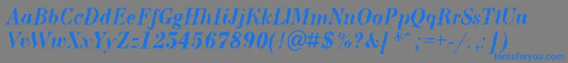 BodoninovabrkBolditalic Font – Blue Fonts on Gray Background