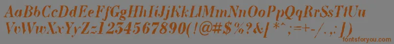 BodoninovabrkBolditalic Font – Brown Fonts on Gray Background