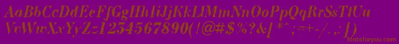 BodoninovabrkBolditalic Font – Brown Fonts on Purple Background