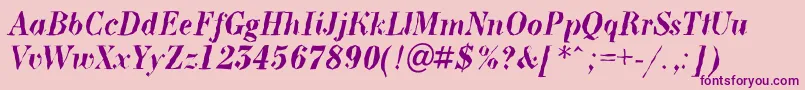 BodoninovabrkBolditalic Font – Purple Fonts on Pink Background