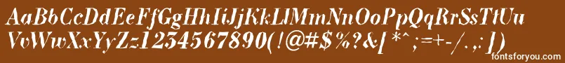 BodoninovabrkBolditalic Font – White Fonts on Brown Background