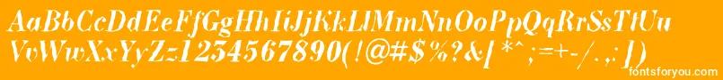 BodoninovabrkBolditalic Font – White Fonts on Orange Background