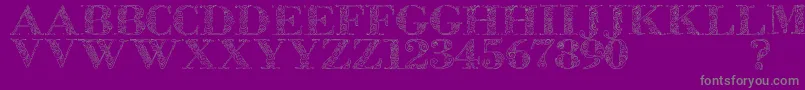 Zsylett Font – Gray Fonts on Purple Background