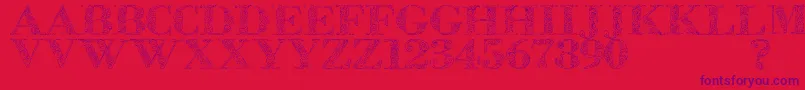 Zsylett Font – Purple Fonts on Red Background
