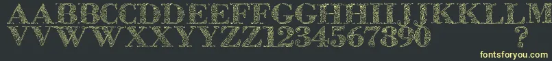 Zsylett Font – Yellow Fonts on Black Background